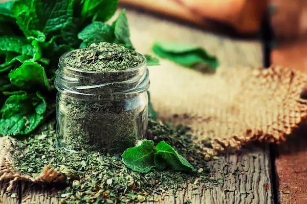 نعناع برای لاغری + قیمت خرید، کاربرد، مصارف و خواص