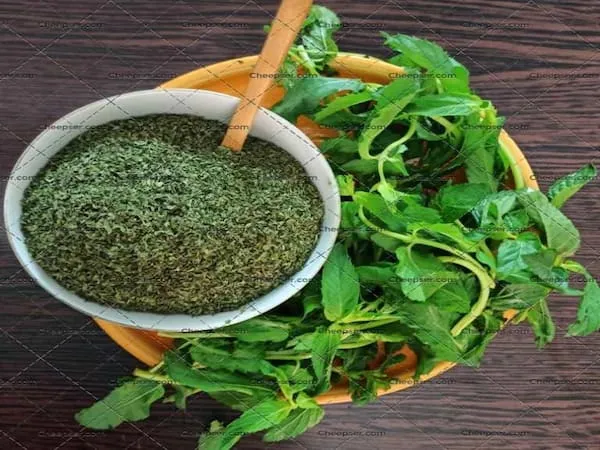 نعناع برای لاغری + قیمت خرید، کاربرد، مصارف و خواص