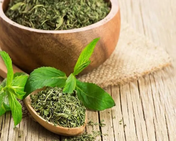 قیمت نعنا خشک کیلویی + مشخصات بسته بندی عمده و ارزان