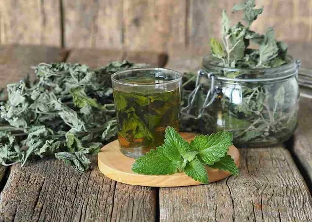 معرفی نعناع  خشک در غذا + بهترین قیمت خرید