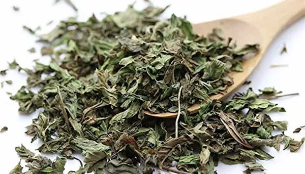 نعناع در رژیم غذایی | خرید با قیمت ارزان