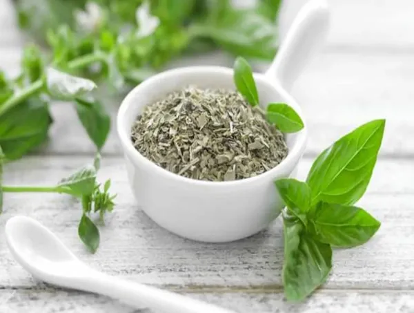معرفی نعناع  خشک در غذا + بهترین قیمت خرید