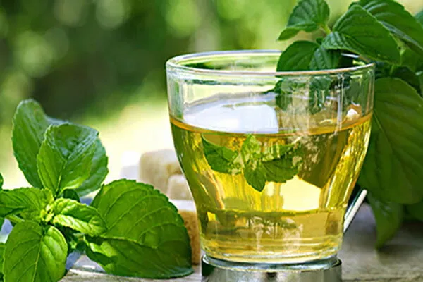 طبع نعناع خشک + خرید
